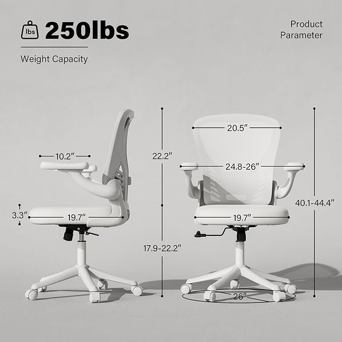 GYI Office Chair Ergonomic, Computer Desk Chair with Mesh Back, Adjustable Lumbar Support, 3D Flip-up Arms, Wheels, All White