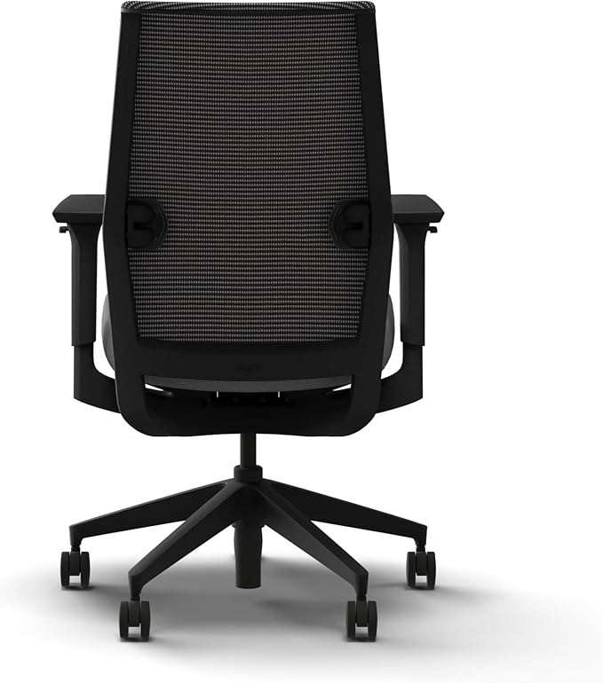 HON Cipher Mesh Office Chair, Standard Cylinder, Height Adjustable Arms, Office Chair with Lumbar Support, Black Mesh, Black Frame, Frost