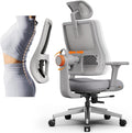 Newtral Ergonomic High-Back Office Chair, Home Office Desk Chair with Auto-Following Lumbar Support, Adjustable Headrest, 3D Armrest, Seat Depth & Heigh Adjustable, 96°-126° Recline