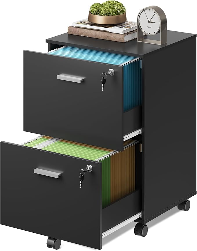DEVAISE 2 Drawer File Cabinet, Mobile Printer Stand, Wood Filing-Cabinet fits A4 or Letter Size for Home Office, Black