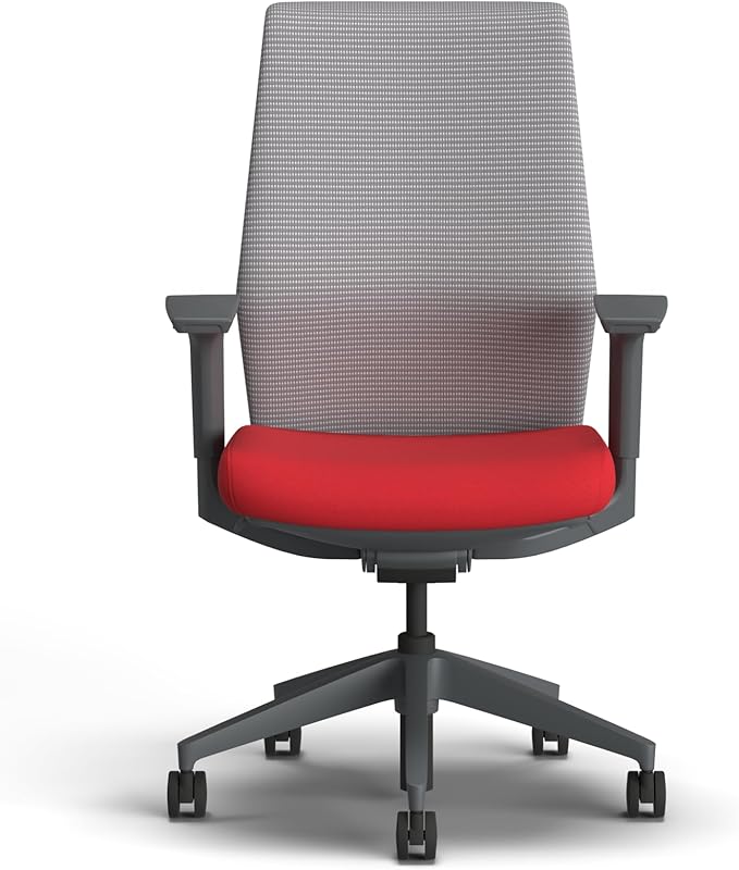 HON Cipher Mesh Office Chair, Standard Cylinder, Height Adjustable Arms, Office Chair with Lumbar Support, Titanium Mesh, Charcoal Frame, Ruby