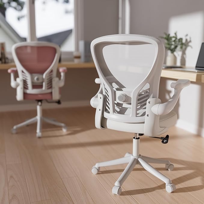 GYI Office Chair Ergonomic, Computer Desk Chair with Mesh Back, Adjustable Lumbar Support, 3D Flip-up Arms, Wheels, All White