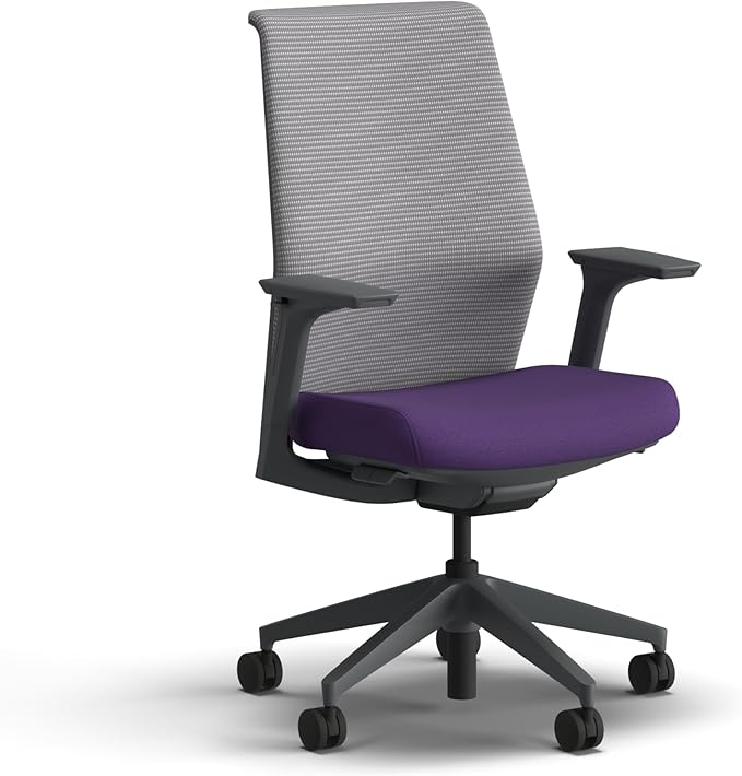 HON Cipher Mesh Office Chair, Standard Cylinder, Height Adjustable Arms, Office Chair with Lumbar Support, Titanium Mesh, Charcoal Frame, Iris