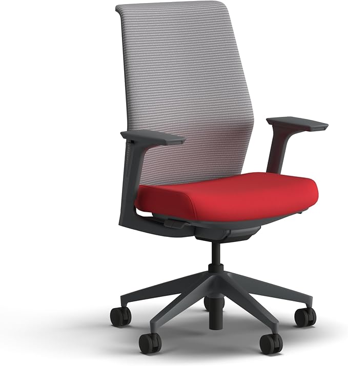 HON Cipher Mesh Office Chair, Standard Cylinder, Height Adjustable Arms, Office Chair with Lumbar Support, Titanium Mesh, Charcoal Frame, Ruby