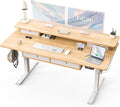 FiCiHi Adjustable Height Standing Desk with 4 Drawers,55 x 30 inches Electric Sit Stand Home Office Desk with Two Tiers, 3 Memory Presets, Monitor Stand Riser, USB A/C Charging Port
