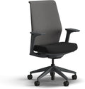 HON Cipher Mesh Office Chair, Standard Cylinder, Height Adjustable Arms, Office Chair with Lumbar Support, Titanium Mesh, Charcoal Frame, Black