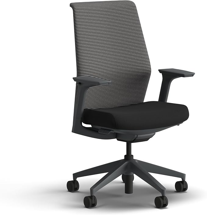 HON Cipher Mesh Office Chair, Standard Cylinder, Height Adjustable Arms, Office Chair with Lumbar Support, Titanium Mesh, Charcoal Frame, Black