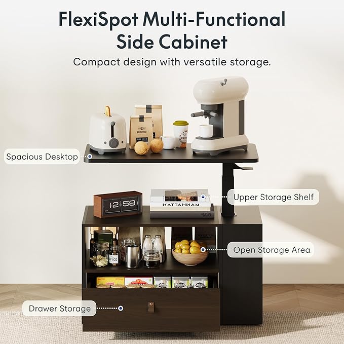 FLEXISPOT H7 CAB Height Adjustable Sit-Stand Computer Workstation Desk with Storage, Pneumatic Lift Laptop Desk with Drawer & Cabinet, Compact Small Space Home Office Desk (25.8"–41.3", Black)