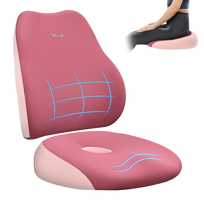 FLORICH Seat Cushion and Lumbar Support Pillow
