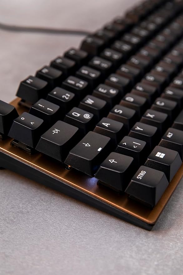 Cherry KC 200 MX, Wired Mechanical Office Keyboard, Modern Design with Elegant Aluminum Surface, USB-A Connection, MX2A Silent RED Switches, Black/Bronze