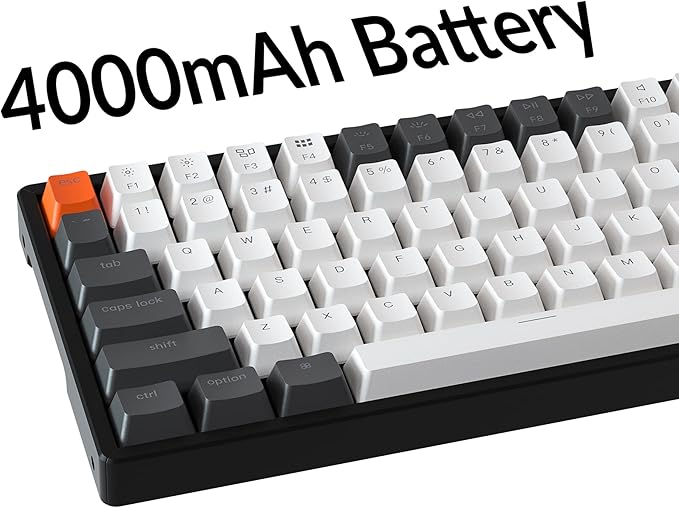 Keychron K2 75% Layout 84 Keys Hot-swappable Bluetooth Wireless/Wired Mechanical Keyboard with Keychron Super Brown Switch/Double-Shot Keycaps/RGB Backlight/Aluminum Frame for Mac Windows Version 2