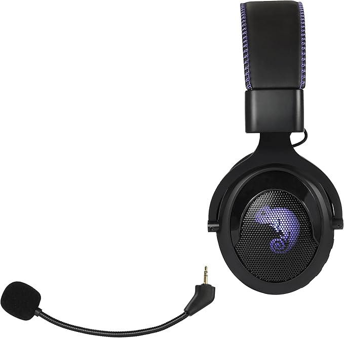 Brook 2.4GHz Wireless Headset - Cross-Platform Wireless Gaming Headset for PS5, PS4, PC, Mac, Android, and NS, Low Latency (with Extra Earpads)