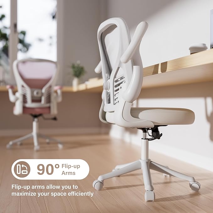 GYI Office Chair Ergonomic, Computer Desk Chair with Mesh Back, Adjustable Lumbar Support, 3D Flip-up Arms, Wheels, All White