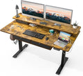 FiCiHi Adjustable Height Standing Desk with 4 Drawers,55 x 30 inches Electric Sit Stand Home Office Desk with Two Tiers, 3 Memory Presets, Monitor Stand Riser, USB A/C Charging Port