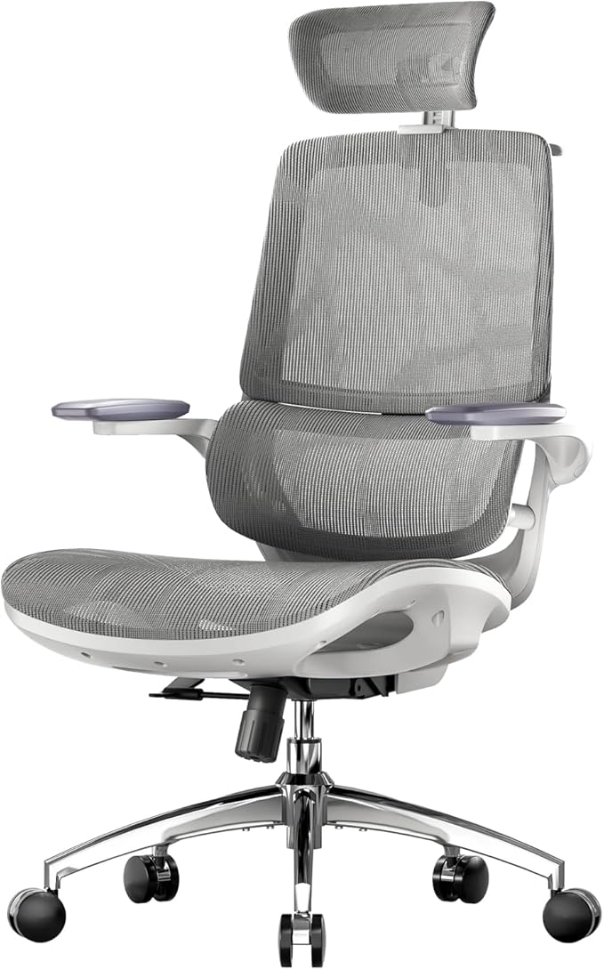 SIHOO M59AS Ergonomic Office Chair, Desk Chair with 3D Flip-up Armrests, Computer Chair with Dual Back Design and Adaptive Dynamic Lumbar Support Grey