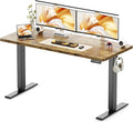 WALKINGDESK 55x24 Inches Height Adjustable Electric Standing Desk with 2 Hooks for Home Office, Ergonomic Sit Stand up Desk with Splice Board, Rustic Brown