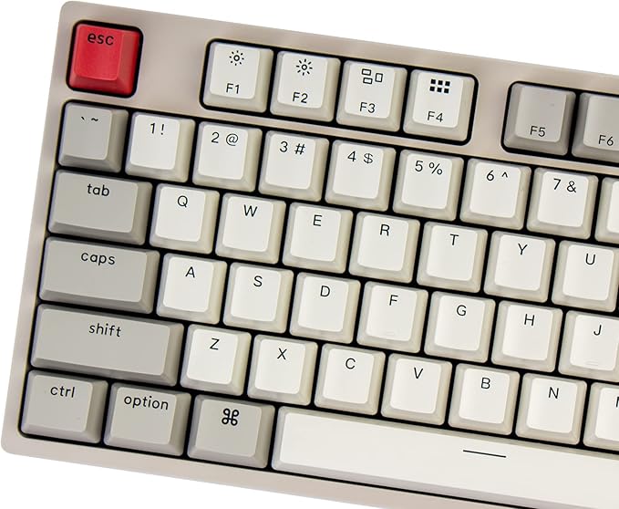 Keychron C2 Full Size Hot-swappable Wired Mechanical Keyboard Compatible with Mac, Keychron Red Switch, 104 Keys ABS Retro Color Keycaps Gaming Keyboard for Windows, USB-C Type-C Braid Cable