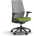 HON Cipher Mesh Office Chair, Standard Cylinder, Height Adjustable Arms, Office Chair with Lumbar Support, Titanium Mesh, Charcoal Frame, Pear