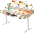 TIQLAB Standing Desk with Two Drawers, Stand Up Standing Desk Adjustable Height, Electric Sit Stand Table with Storage Shelf and Splice Board, with LED Light, 55 * 28 inch, Maple
