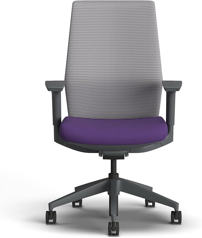 HON Cipher Mesh Office Chair, Standard Cylinder, Height Adjustable Arms, Office Chair with Lumbar Support, Titanium Mesh, Charcoal Frame, Iris