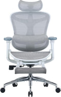 SIHOO Doro C300 Ergonomic Office Chair with Footrest, Ultra Soft 3D Armrests, Dynamic Lumbar Support for Home Office Chair, Adjustable Backrest Desk Chair, Swivel Big and Tall Computer Chair (Grey)
