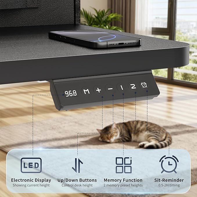 YESHOMY 55" x 23" Electric Standing Desk with 2 Drawers, Height Adjustable Computer Desk, Low Noise Home Office Stand Up Desk with 2 Preset Heights & 2 Hooks, Black