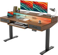TIQLAB Standing Desk with Two Drawers, Stand Up Standing Desk Adjustable Height, Electric Sit Stand Table with Storage Shelf and Splice Board, with LED Light, 55 * 28 inch, Black Walnut