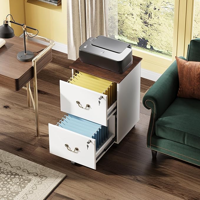 DEVAISE 2 Drawer File Cabinet, Small Rolling Filing Cabinet for Home Office, Printer Stand, for A4, Letter-Size