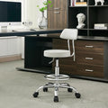 FIRAVOE Drafting Stool (Height Adjustable Office Chair with Footrest 19.5"-26.6")(Drum Stool with Back) Space Saving Tattoo Chair (Gray)