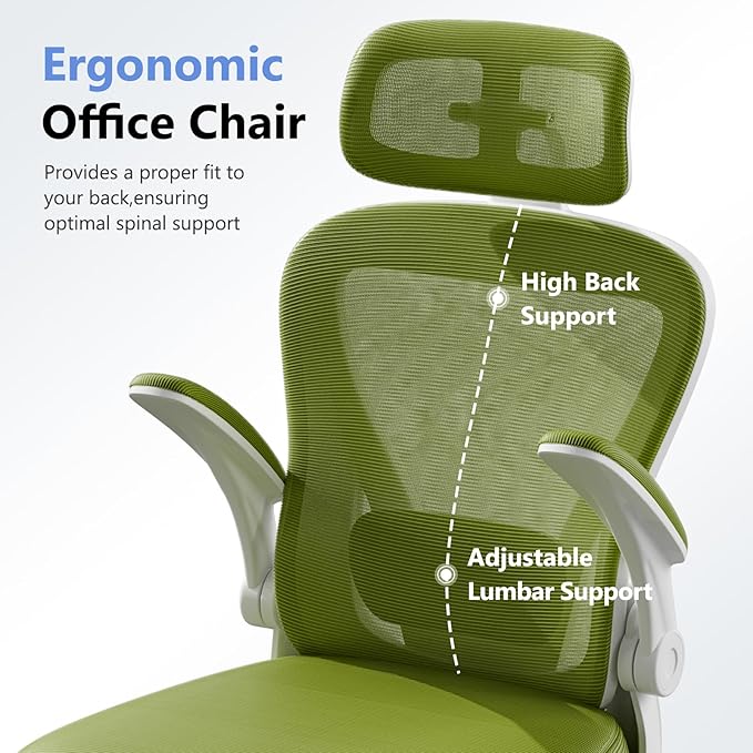 SeekFancy Ergonomic Office Chair M903, Computer Desk Chair with Wheels, High Back Mesh Office Chair with Adjustable Lumbar Support, Headrest, Flip-Up Armrests, Green