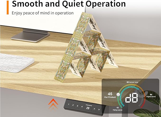 WALKINGDESK 48x24 Inches Height Adjustable Electric Standing Desk with 2 Hooks for Home Office, Ergonomic Sit Stand up Desk with Splice Board, Oak