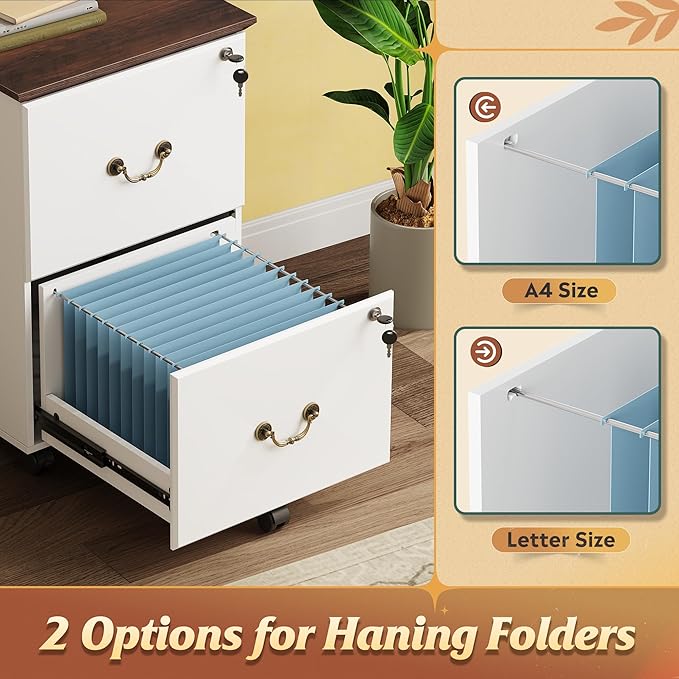 DEVAISE 2 Drawer File Cabinet, Small Rolling Filing Cabinet for Home Office, Printer Stand, for A4, Letter-Size