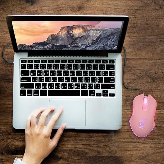 IULONEE USB Type C Wired Mouse,Silent Computer Mouse Optical Gaming Mice Ergonomic 7 LED Backlight 2400 DPI 6 Buttons for Office Home Windows PC,Laptop,Desktop,Notebook,MacBook(Type-C Pink)