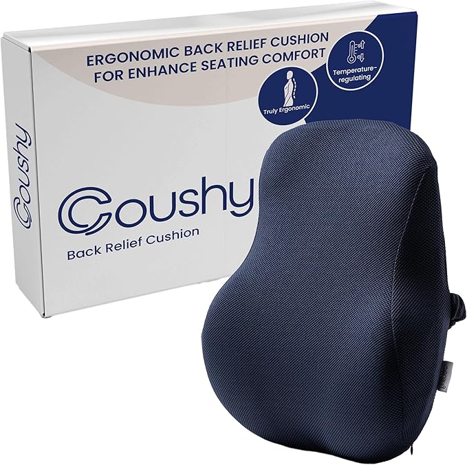 Coushy| Ergonomic Back Relief Cushion| Office Desk Accessories: Chair Cushions, Car Seat Cushion, Office Chair Cushion for Lumbar-Supporting, Support Pillow for Back Pain (Blue)