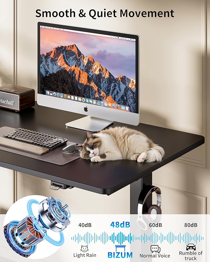 BIZUM 39.4" Small Electric Standing Desk Height Adjustable, Whole Piece Stand Up Computer Desk Work Study Writing Gaming Desks for Home Office Black