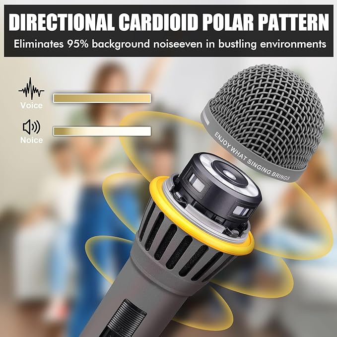 Dynamic Microphone - Professional Vocal Microphone for Singing - Handheld Wired Microphone with 16ft XLR to 1/4" Audio Cable - Mic for Speaking, Karaoke & Living Stage (Matte Grey)