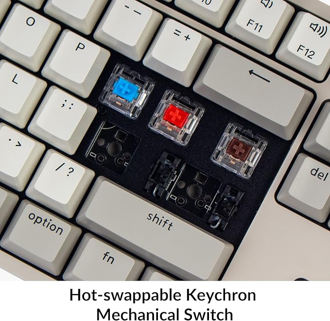 Keychron C2 Full Size Hot-swappable Wired Mechanical Keyboard Compatible with Mac, Keychron Red Switch, 104 Keys ABS Retro Color Keycaps Gaming Keyboard for Windows, USB-C Type-C Braid Cable