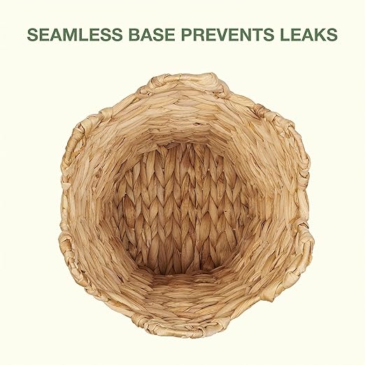 84ECO 2-Pack Scalloped Waste Basket for Bathroom, Bedroom, Office - Scalloped Decor
