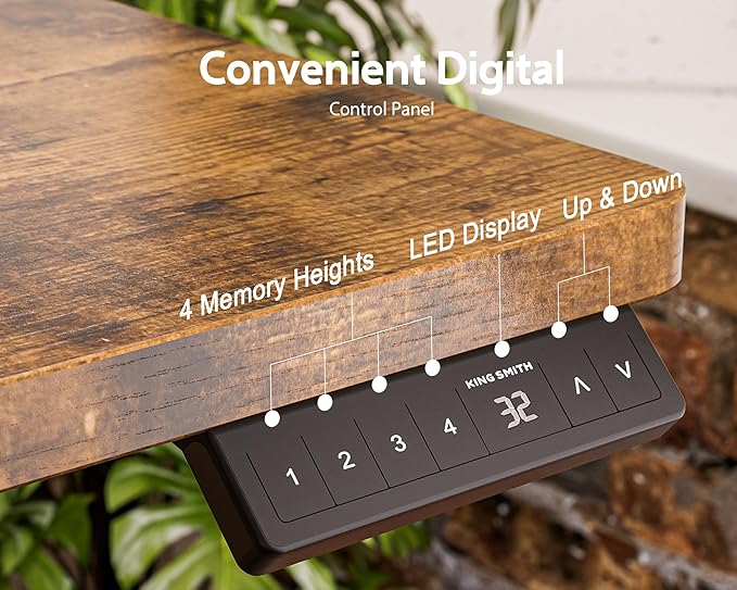 WALKINGDESK 63x24 Inches Electric Standing Desk with Drawer and Monitor Stand, Height Adjustable Sit to Stand up Desk for Home Office, Ergonomic Computer Table with Phone Holder, 3 Hooks, Oak