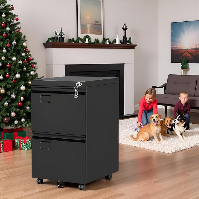 SUXXAN 2 Drawer Mobile File Cabinet with Lock, Heavy Duty Steel Under Desk Filing Cabinet for Letter/Legal Size, Anti-Tip Design with 5 Casters, Metal Storage Organizer for Home Office