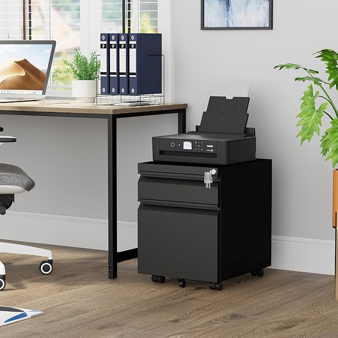 Metal Mobile File Cabinet with Lock and 4 Keys - Fully Assembled, Under Office Desk 2 Drawers Filing Cabinet for Home Office with Anti-tilt Wheels, A4/Legal/Letter Hanging File Drawers