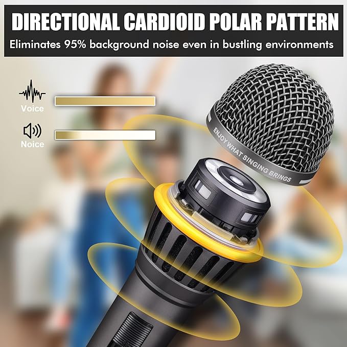 Dynamic Microphone - Professional Vocal Microphone for Singing - Handheld Wired Microphone with 16ft XLR to 1/4" Audio Cable - Mic for Speaking, Karaoke & Living Stage (Titanium Grey)
