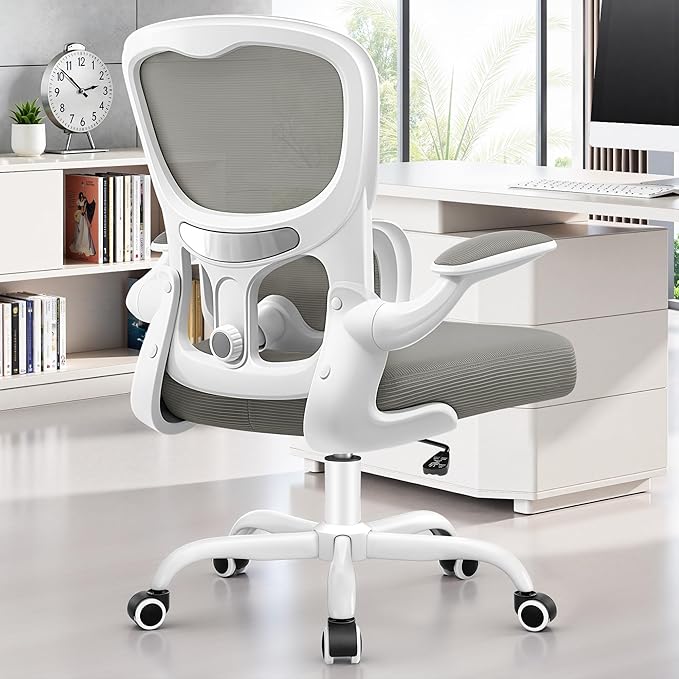 ALLGOD Ergonomic Office Chair, Breathable Mesh Ergonomic Desk Chair with Adjustable Lumbar Support, Flip-up Armrests, Computer Chairs Comfortable for Home, Office, Work, 300lbs, LightGray, Upgrade