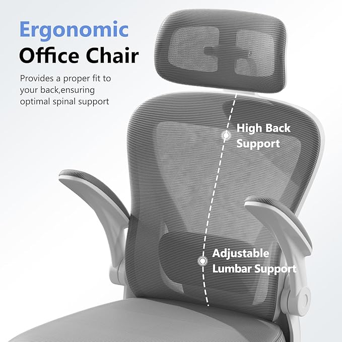 SeekFancy Ergonomic Office Chair M903, Computer Desk Chair with Wheels, High Back Mesh Office Chair with Adjustable Lumbar Support, Headrest, Flip-Up Armrests, White Grey