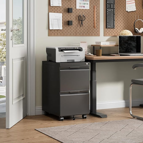2 Drawer File Cabinet with Lock,Rolling Vertical File Cabinets for Home Office,Small Metal Filing Cabinet Office Drawers Under Desk for A4-Size/Letter-Size/Legal-Size- Assembly Required/Black