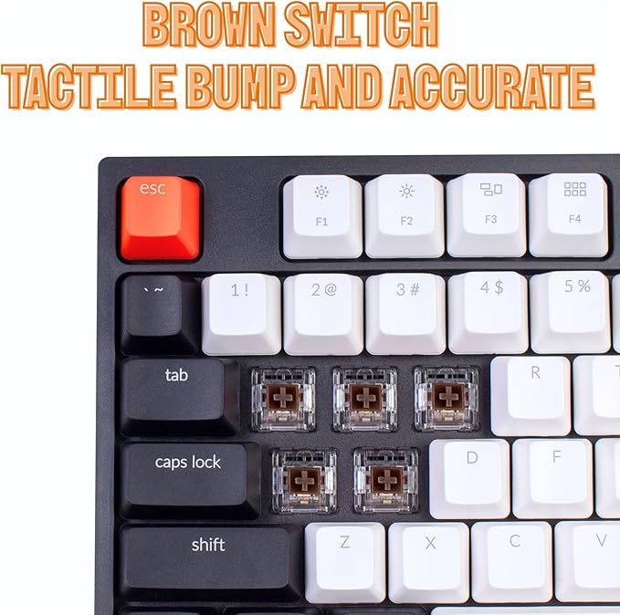 Keychron C2 Full Size 104 Keys USB Type-C Wired Mechanical Gaming Keyboard for Mac Layout, Gateron G Pro Brown Switch/RGB Backlight/Double-Shot ABS keycaps Computer Keyboard for Windows Laptop PC