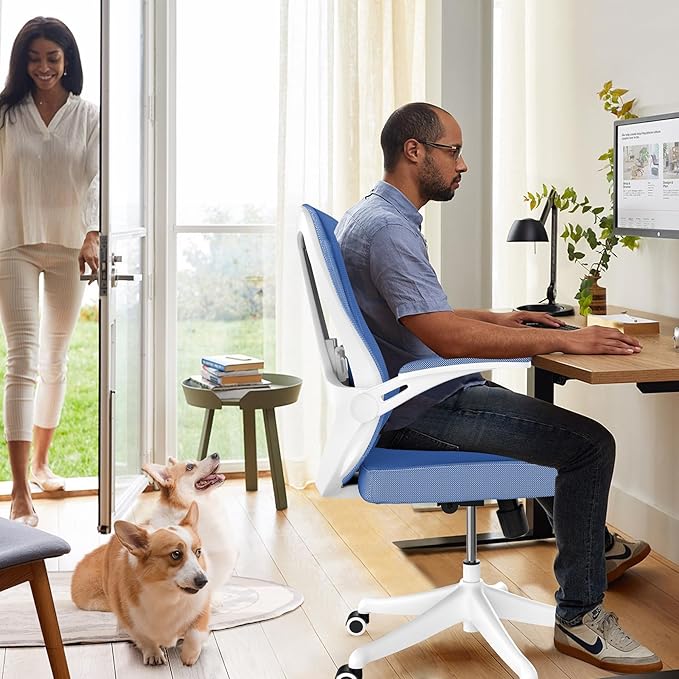 balmstar Ergonomic Office Chair Desk Chair - Mesh Computer Chair with 360° Swivel Wheels, Adjustable 90-130° Recline & Lumbar Support for Home Office, Supports up to 300lbs (01Blue)