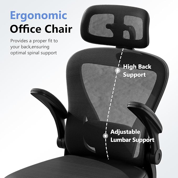 SeekFancy Ergonomic Office Chair M903, Computer Desk Chair with Wheels, High Back Mesh Office Chair with Adjustable Lumbar Support, Headrest, Flip-Up Armrest, Black