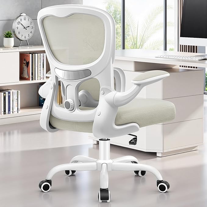ALLGOD Ergonomic Office Chair, Breathable Mesh Ergonomic Desk Chair with Adjustable Lumbar Support, Flip-up Armrests, Computer Chairs Comfortable for Home, Office, Work, 300lbs, White, Upgrade