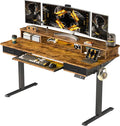 WALKINGDESK 55x24 Inches Electric Standing Desk with Keyboard Tray, Height Adjustable Stand up Desk with 2 Drawers, Ergonomic Sit to Stand Desk with Storage Monitor Stand, Computer Table, Rustic Brown